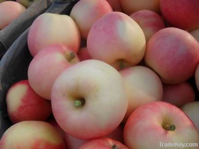 Fresh Gala Apples