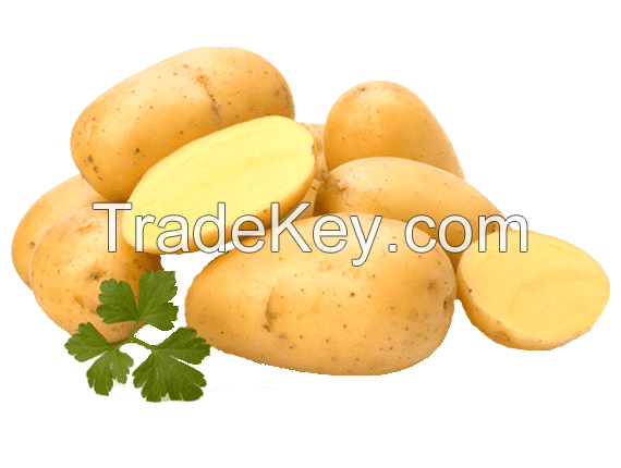 Fresh Potatoes