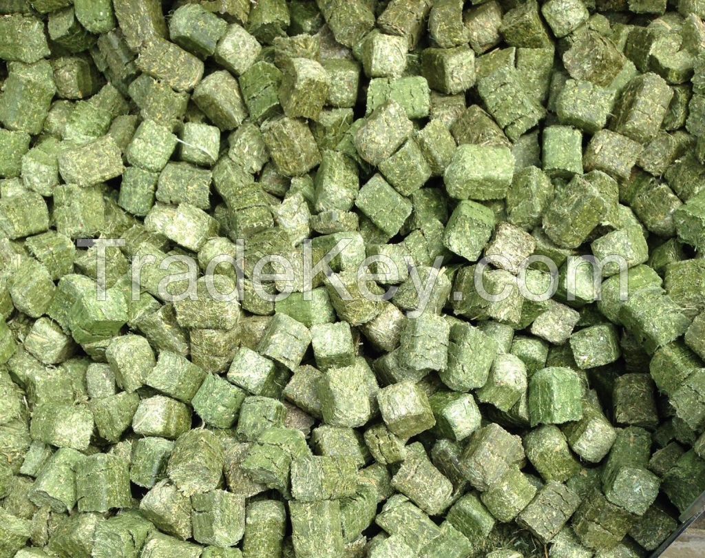 Wholesale Timothy Hay Sticks Guinea Pig Chinchillas Pet Snacks Chew Treats Rabbit Hamsters Squirrel Other Small Animals