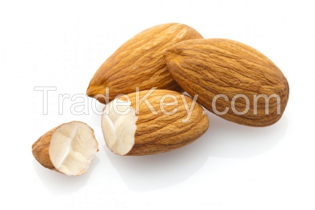 Cheap Price Premium Almond Nuts Almond Kernel Sweet Almond