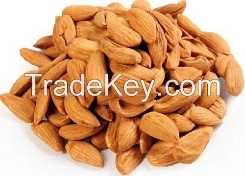 Quality And Sell Almond Nut