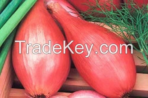Seeds Shallot Onion Banana Red Long Vegetable Planting Organic Heirloom Ukraine