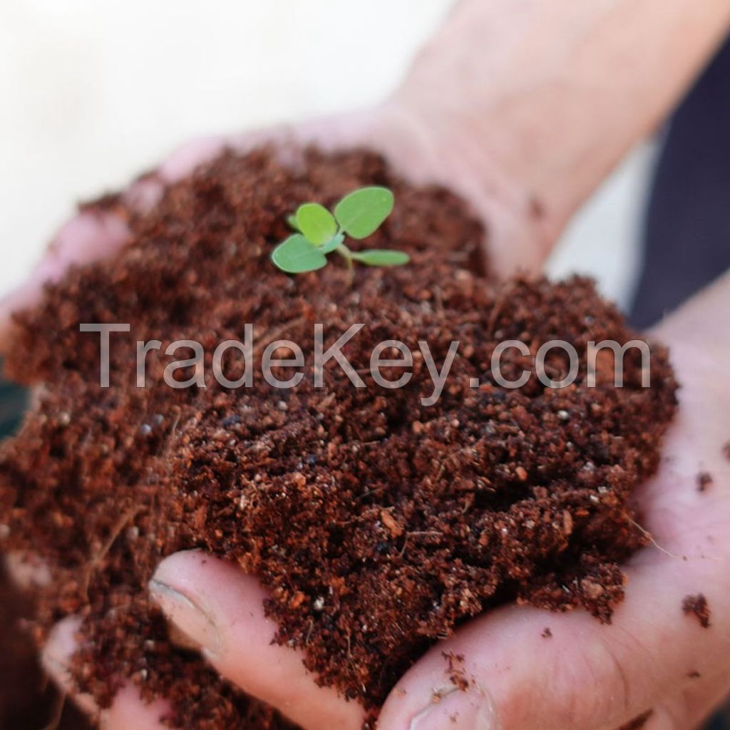 Soilless Nutrient Potting Plant Soil Nutrient Bed Peat Block Coconut Coir Brick