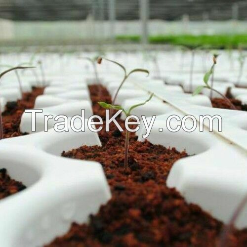 COCO COIR COCO PEAT | 100% NATURAL HYDROPONIC GROWING MEDIA ORGANIC COMPOST SOIL