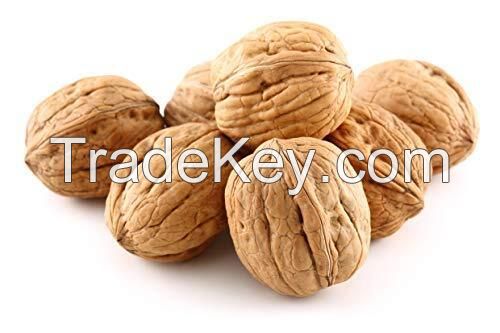 Walnut For Sale