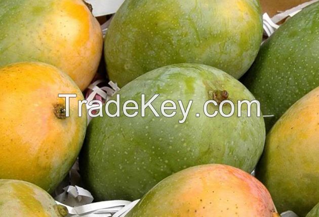 Fresh Kesar Mangos