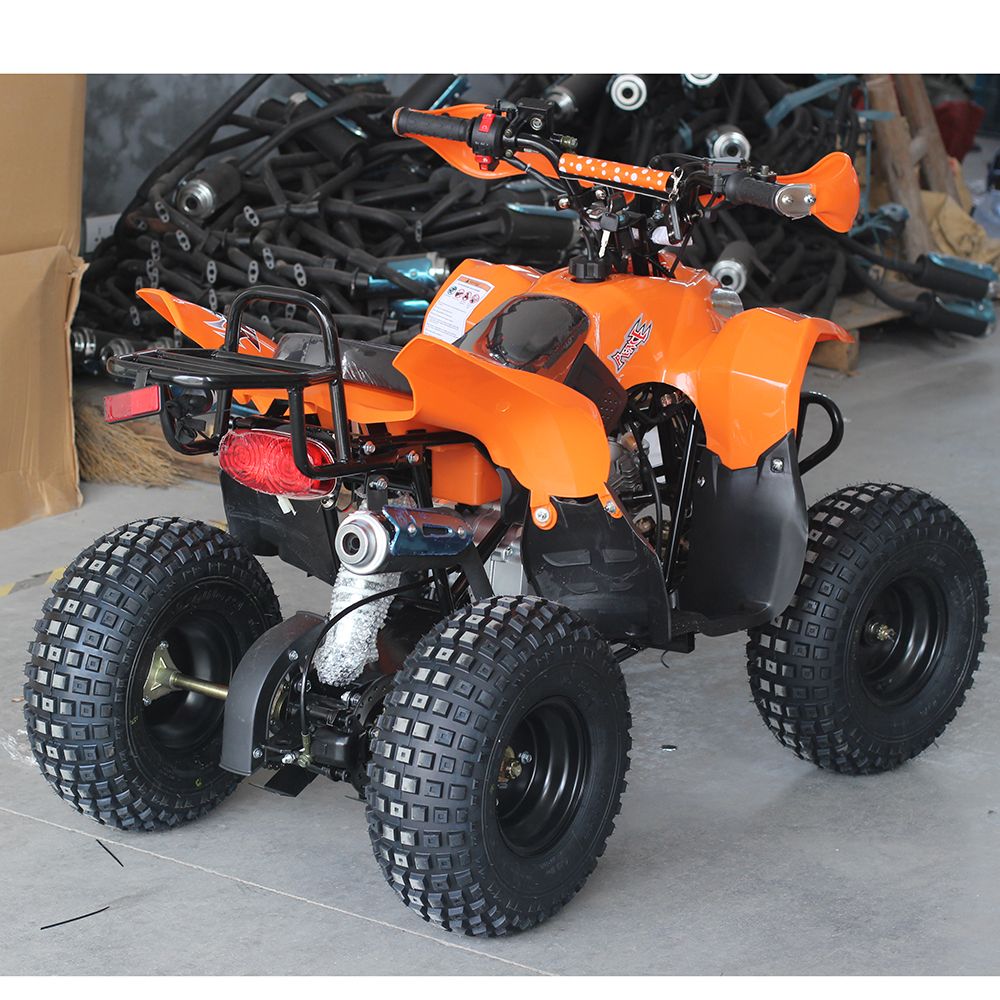 Hot Selling Cheap 110CC Mini ATV Quad Bike For Kids