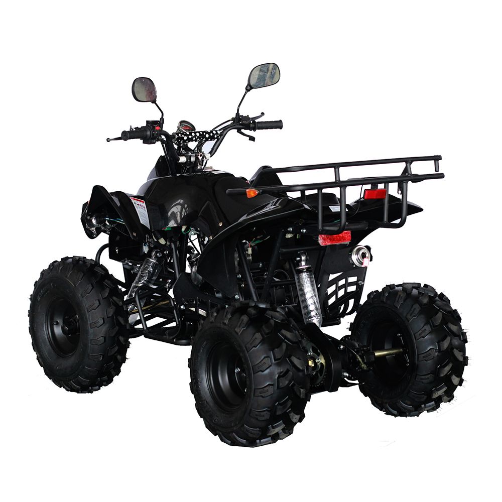 New 70cc/125cc/110cc 4 Stroke Mini Quad ATV For Kids