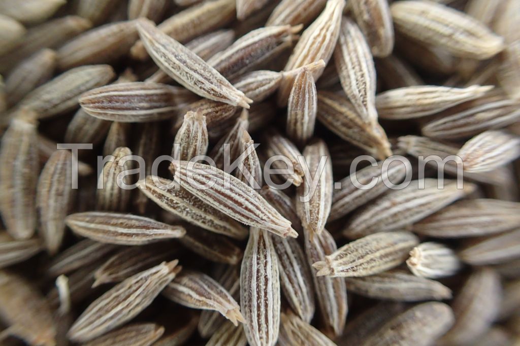 Cumin