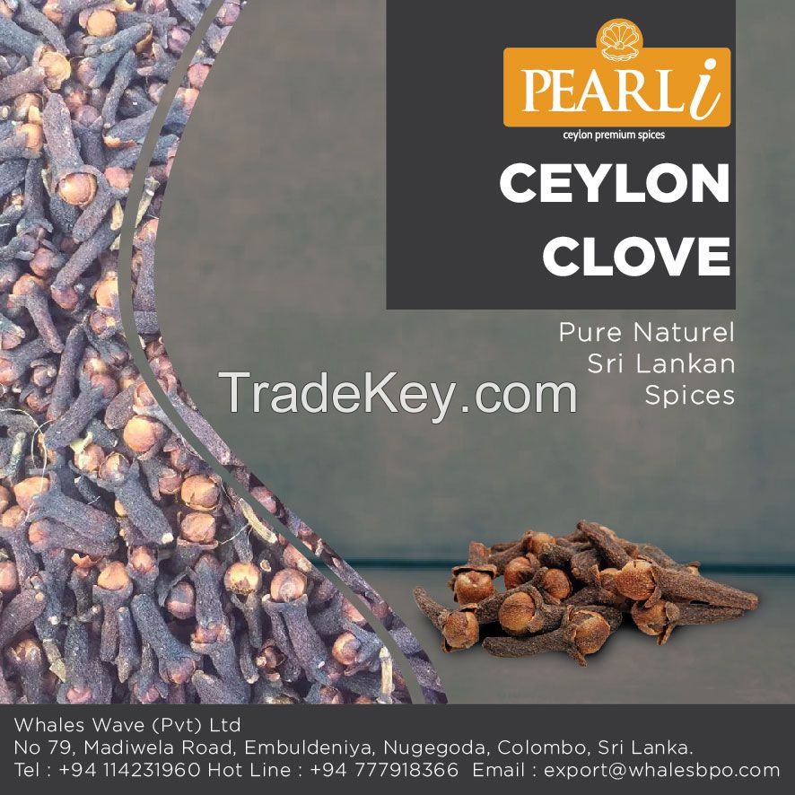 Ceylon Clove