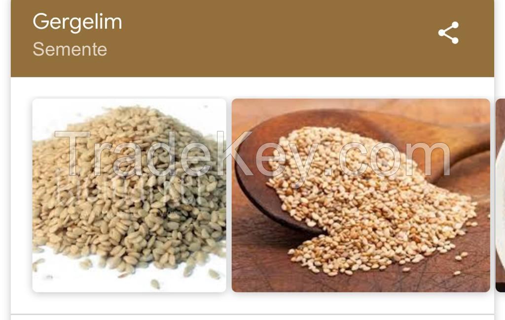 white sesame seed 