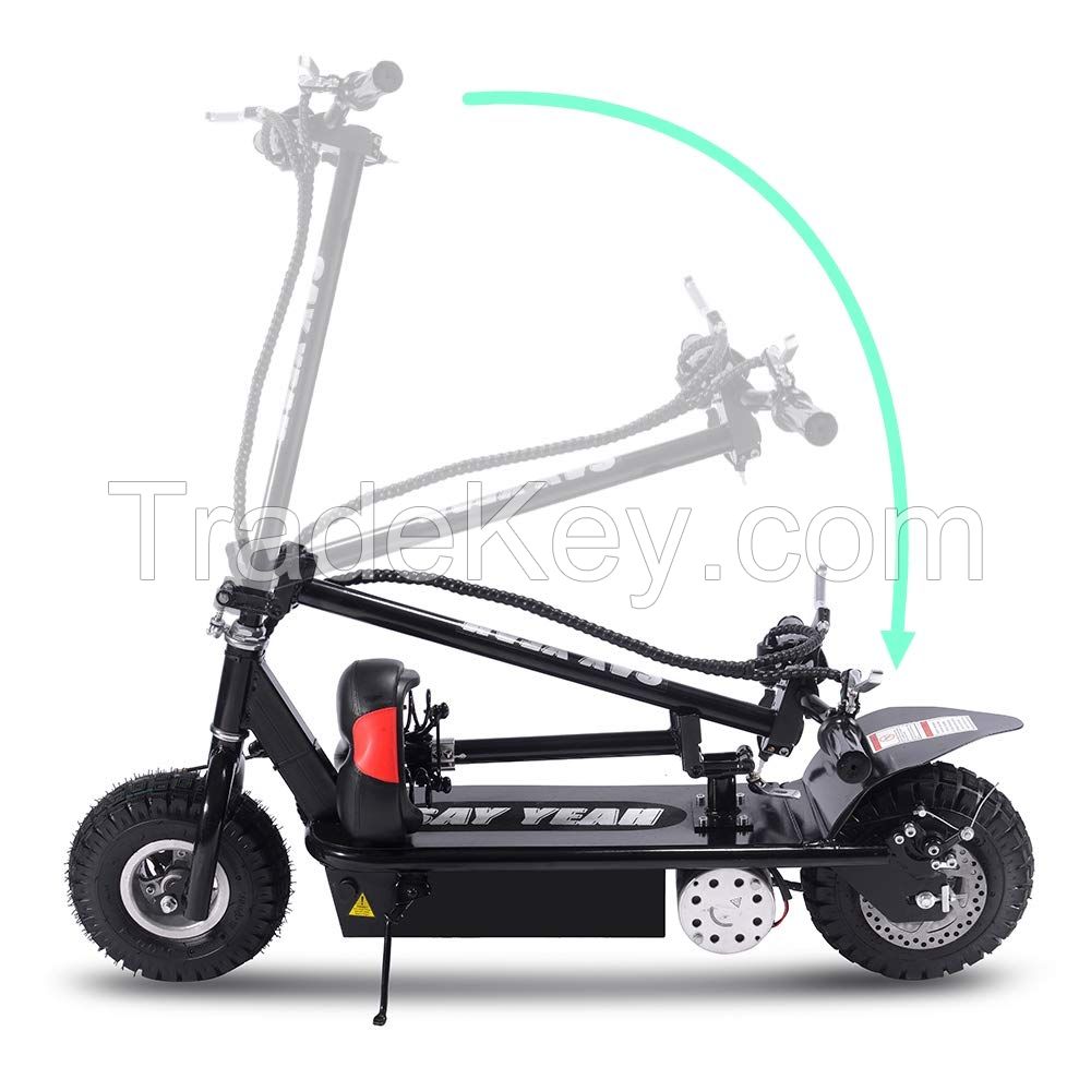 800w 36v Electric Scooter