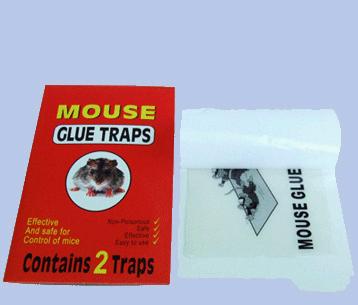glue plate for mouse trap