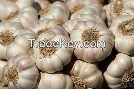 Kola Nut, Better Kola, Phoenix Dactylfera Garlic