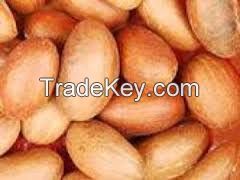 Kola Nut, Better Kola, Phoenix Dactylfera Garlic