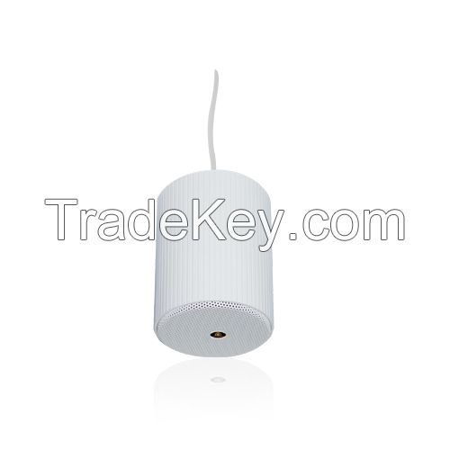 PA System Pendant Speaker RH-SL01