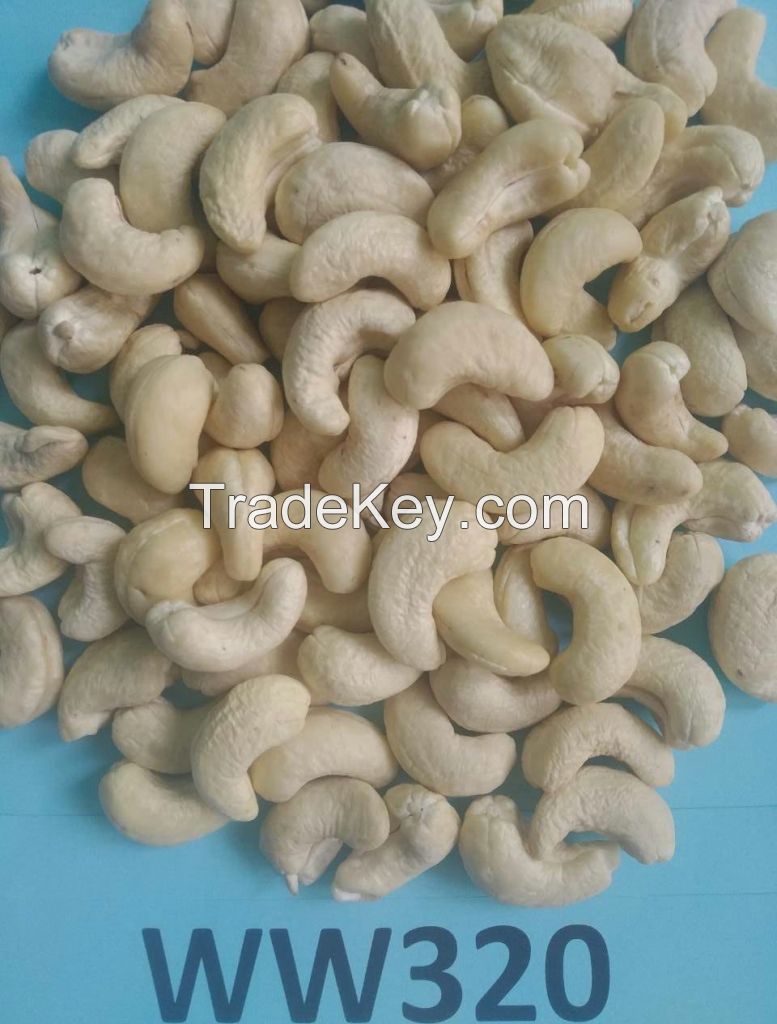 Cashew Kernel