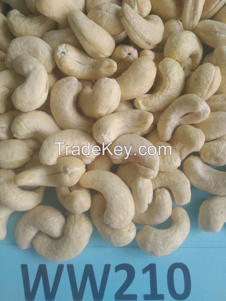 Cashew Kernel