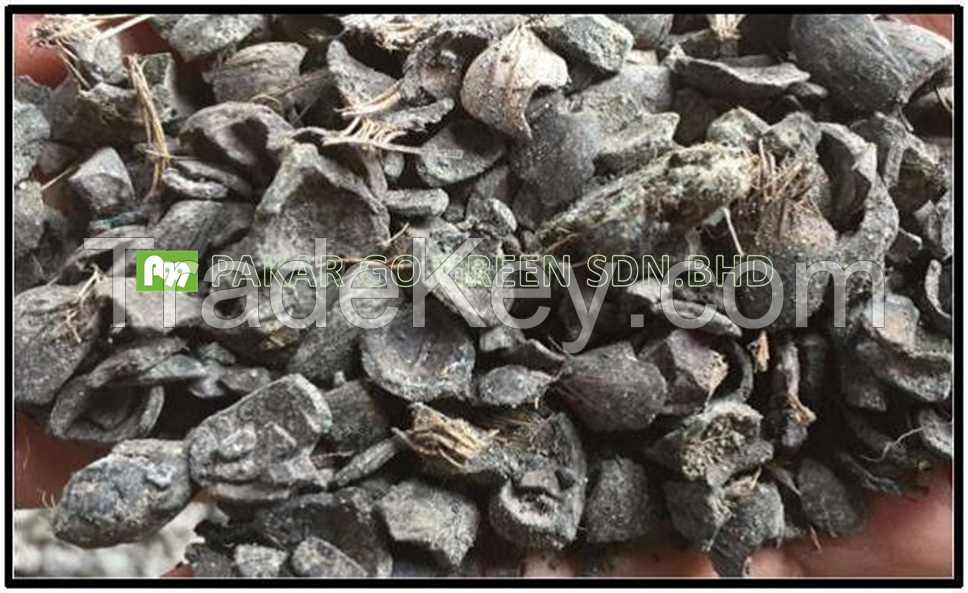 Palm Kernel Shell (PKS)