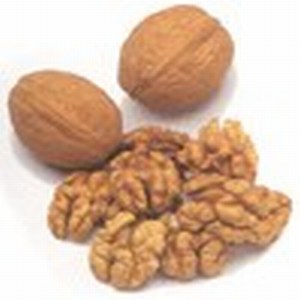 Quality Walnut Kernels | Dried Fruits | Walnut Suppliers | Walnut Exporters | Walnut Manufacturers | Cheap Walnut | Wholesale Walnut | Discounted Walnut | Bulk Walnut | Walnut Buyer | Import Walnuts | Shelled Walnuts