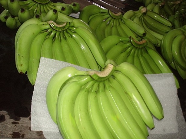 Quality Fresh Cavendish Banana - Philippines