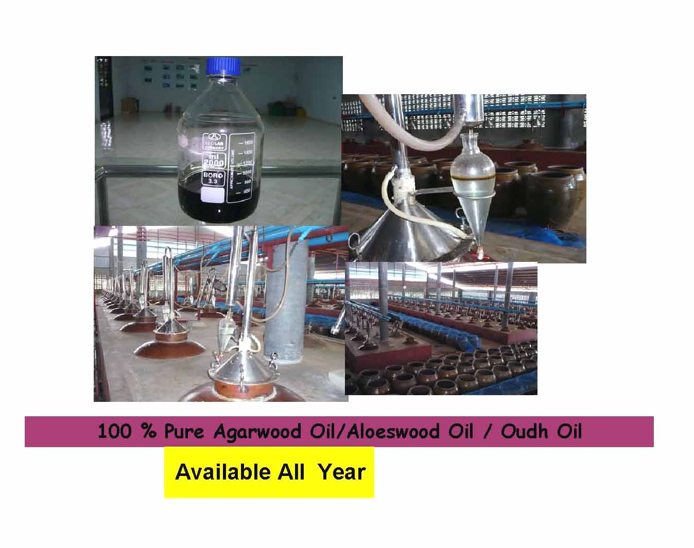 Quality 100% Pure Absolute Agarwood oil with DARK BROWN color