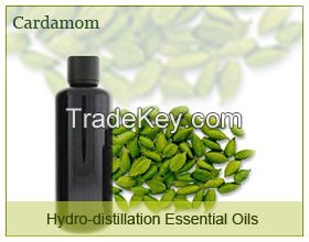 Best Oleo resins,Essential Oils,Deodorized Oils, Spa Oils from Spices and Herbs 