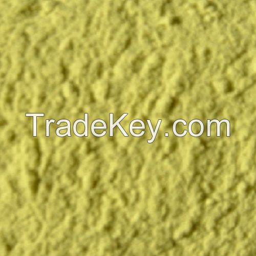  Freeze Dried Kiwi Fruit Powder