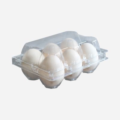 Factory Sale Disposable Plastic Egg Tray Blister Clear Egg Packing Box