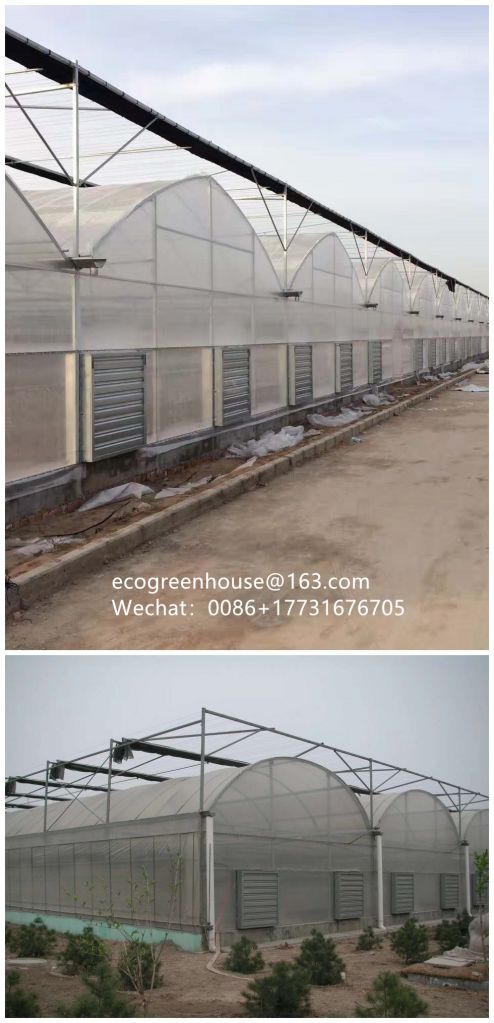 9.6meter 10.8meter 12meter span agriculture greenhouse/Green house