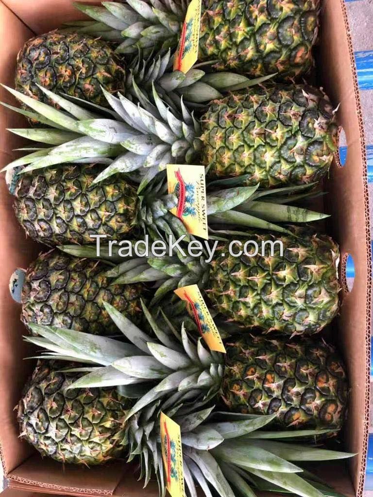 Fresh Golden "MD2" Pineapples