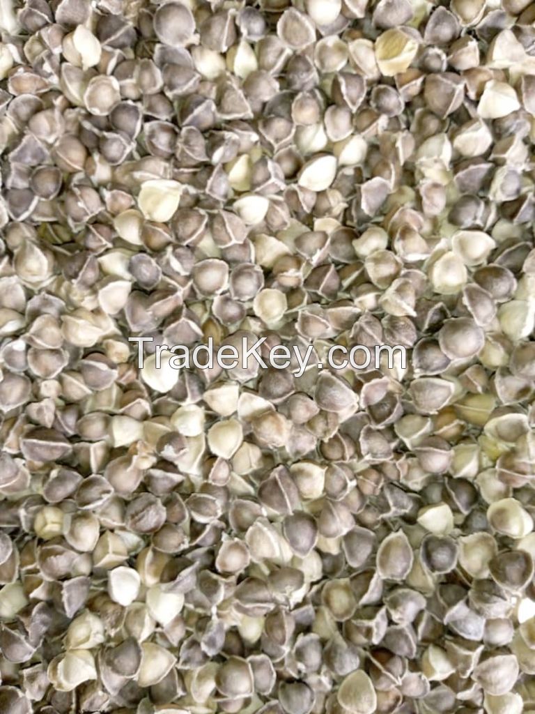 Unpeeled Moringa Seeds