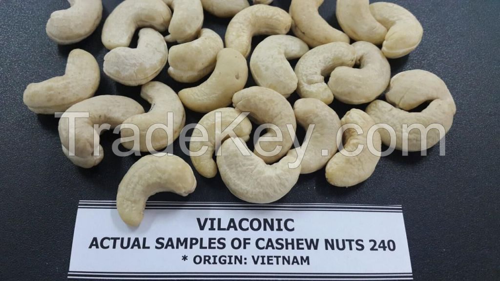 Cashew nut Vietnam