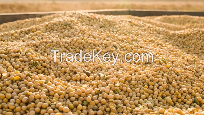 Order Soybeans Meal Online