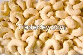 Cashew Nut