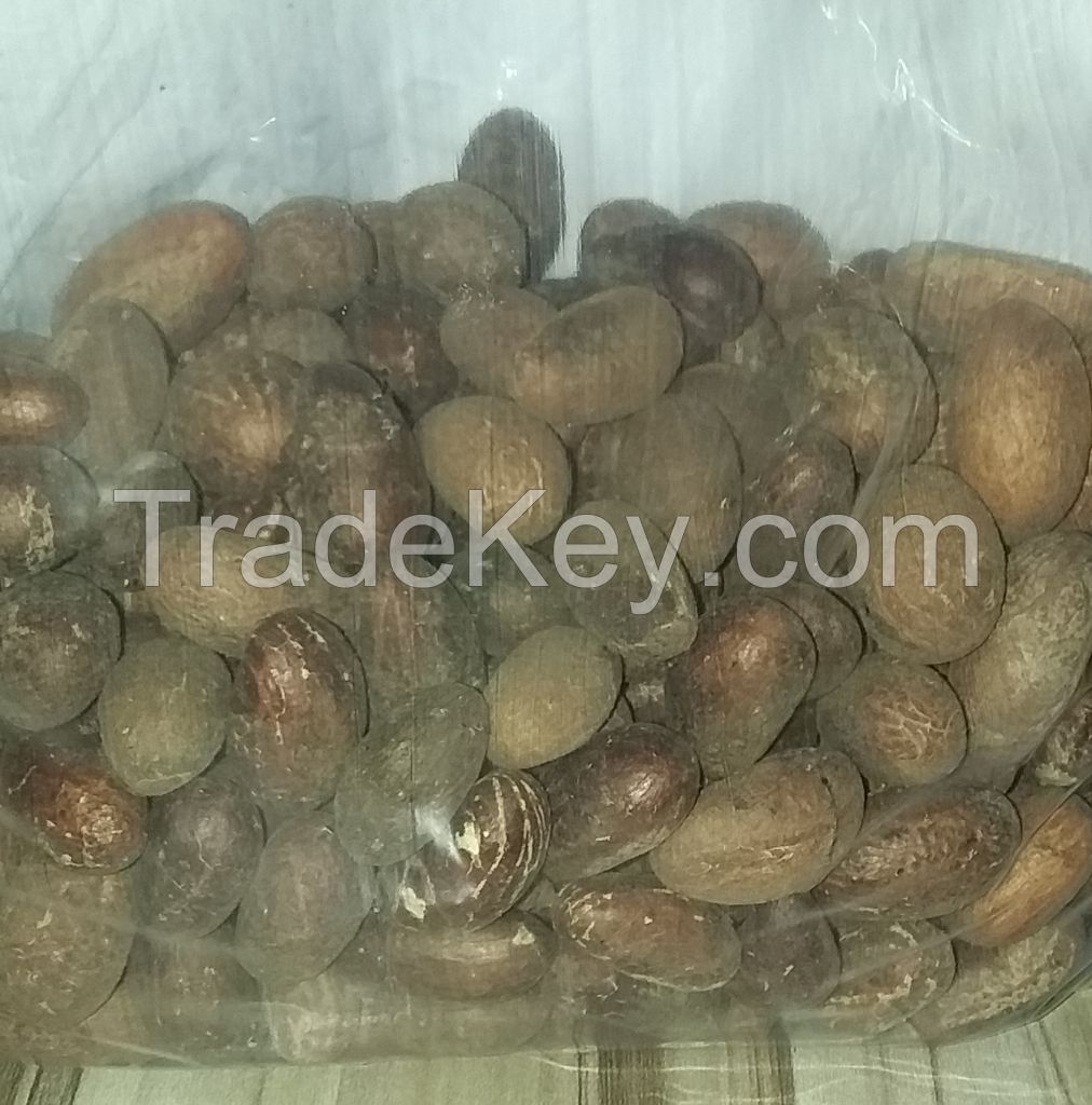 kola nut, Bitter kola