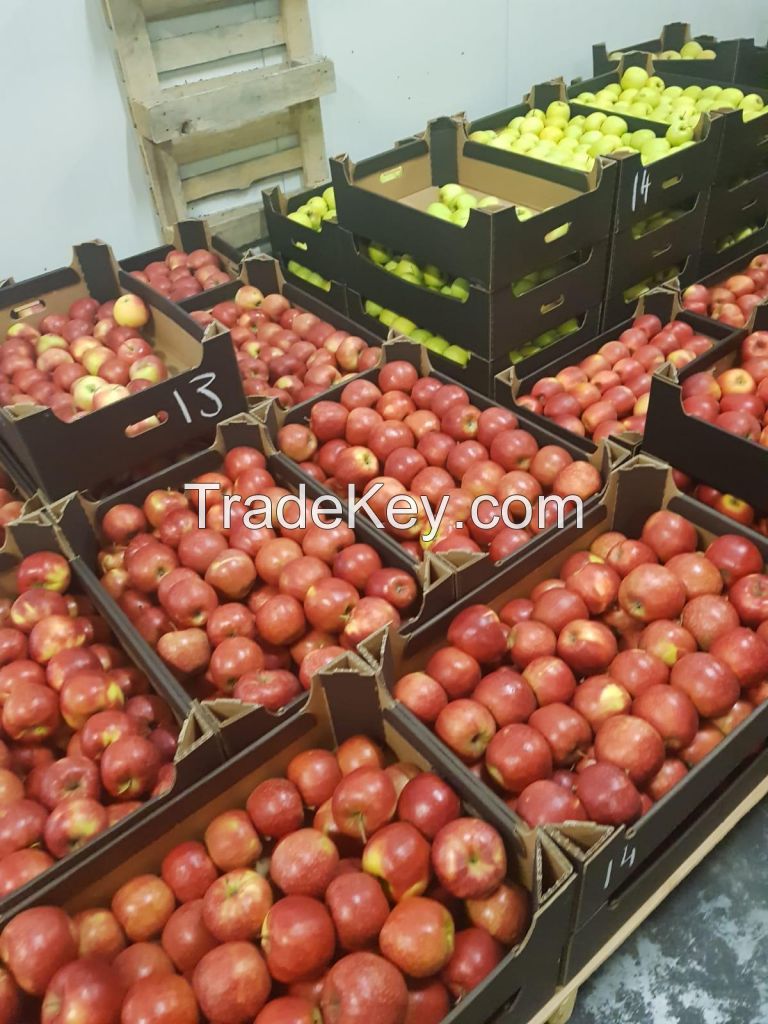 Fresh Apples - Golden/Red