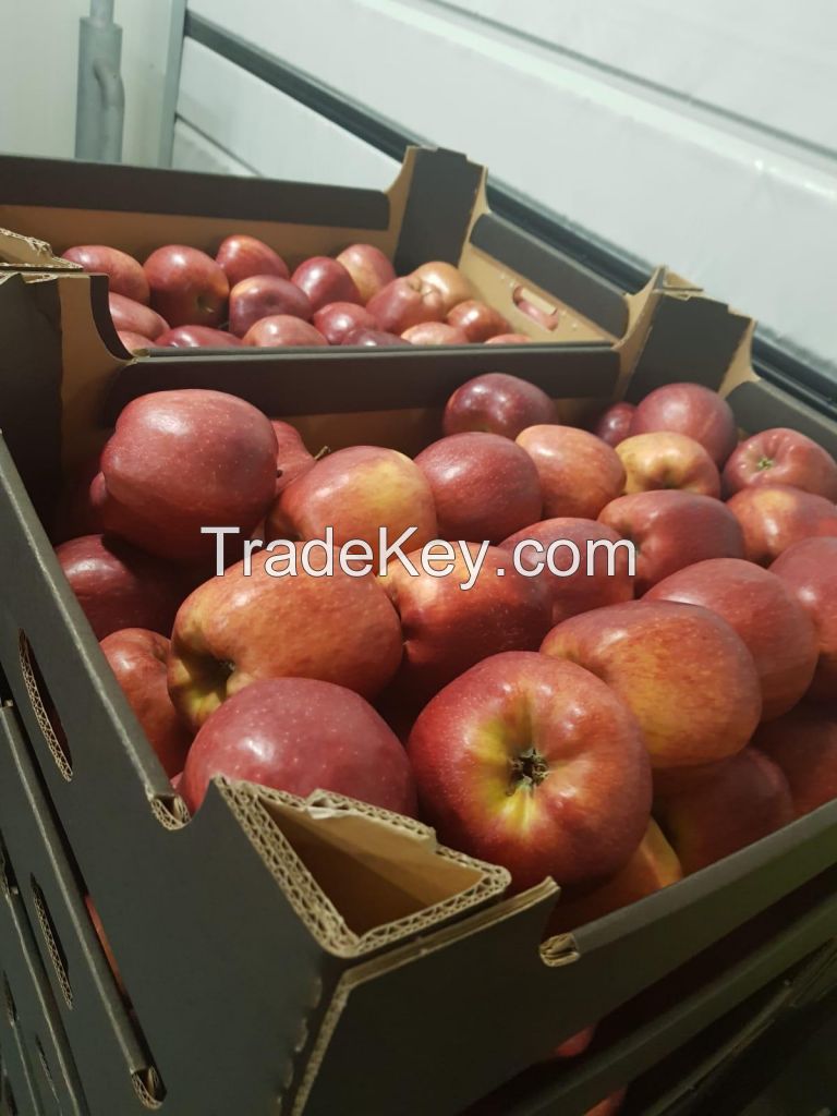 Fresh Apples - Golden/Red
