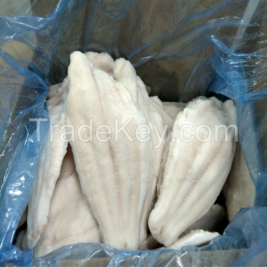 Frozen Channel Catfish Fillet