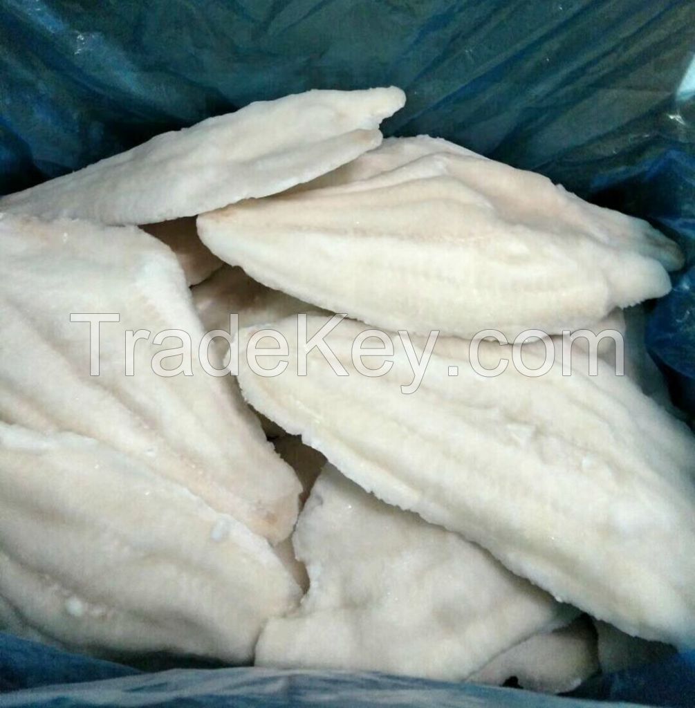 Frozen Channel Catfish Fillet