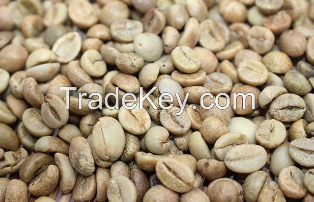 Arabica Green Coffee