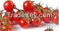 Cherry Tomato