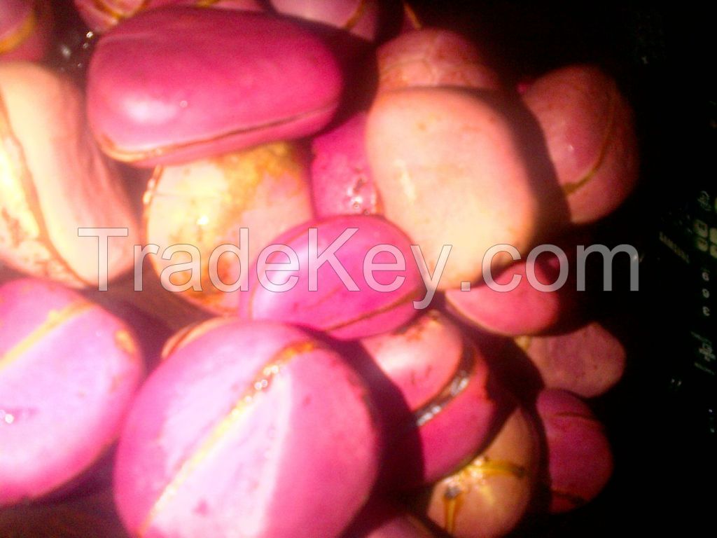 Kola Nut