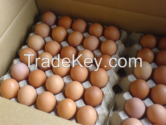 Fresh white and brown eggs