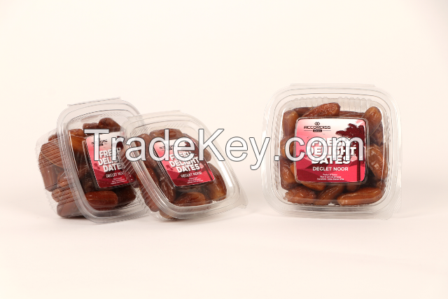 Processed Deglet Noor Tunisian dates