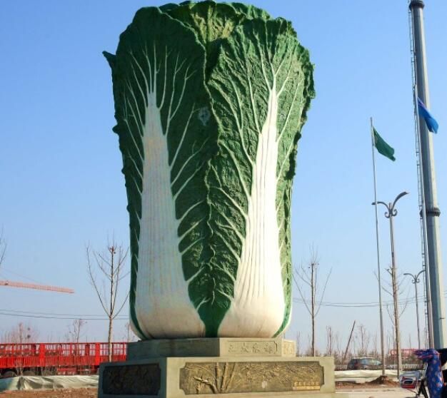 Chinese cabbage Chinese fresh celery cabbage supplier and exporter
