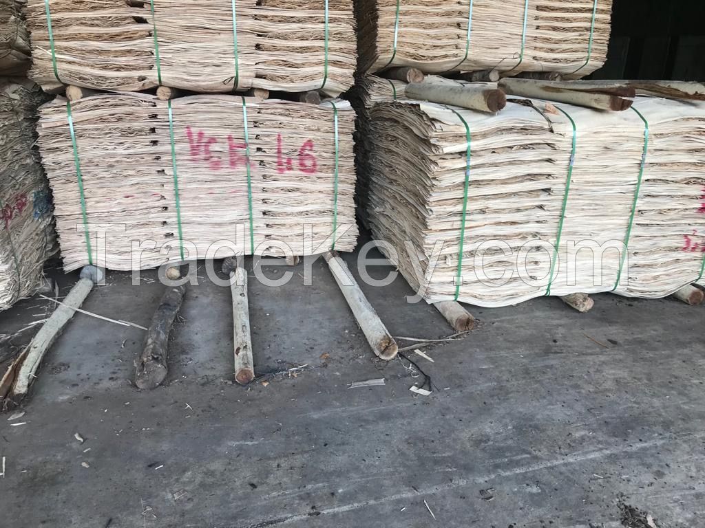 EUCALYPTUS CORE VENEER VIET NAM - BROWOOD