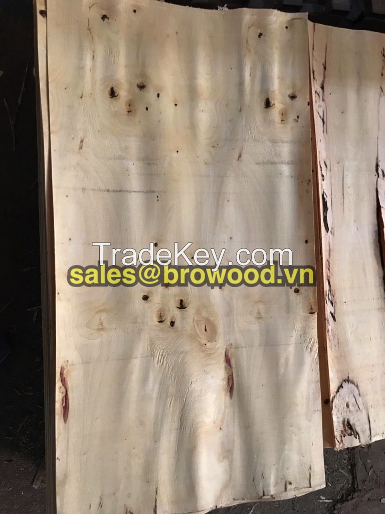 EUCALYPTUS CORE VENEER VIET NAM - BROWOOD