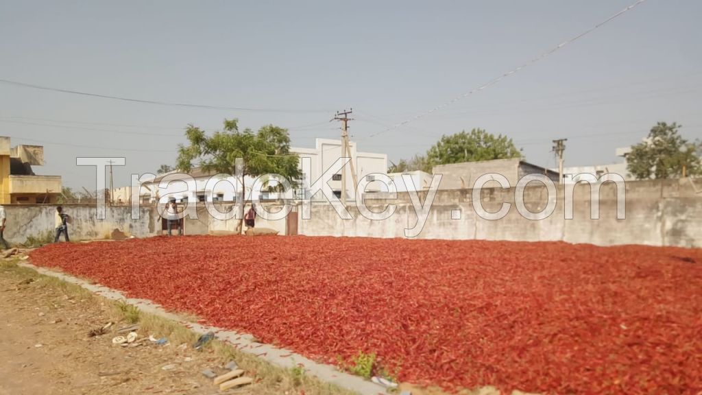 Indian Dried Red Chillies Sannam 334