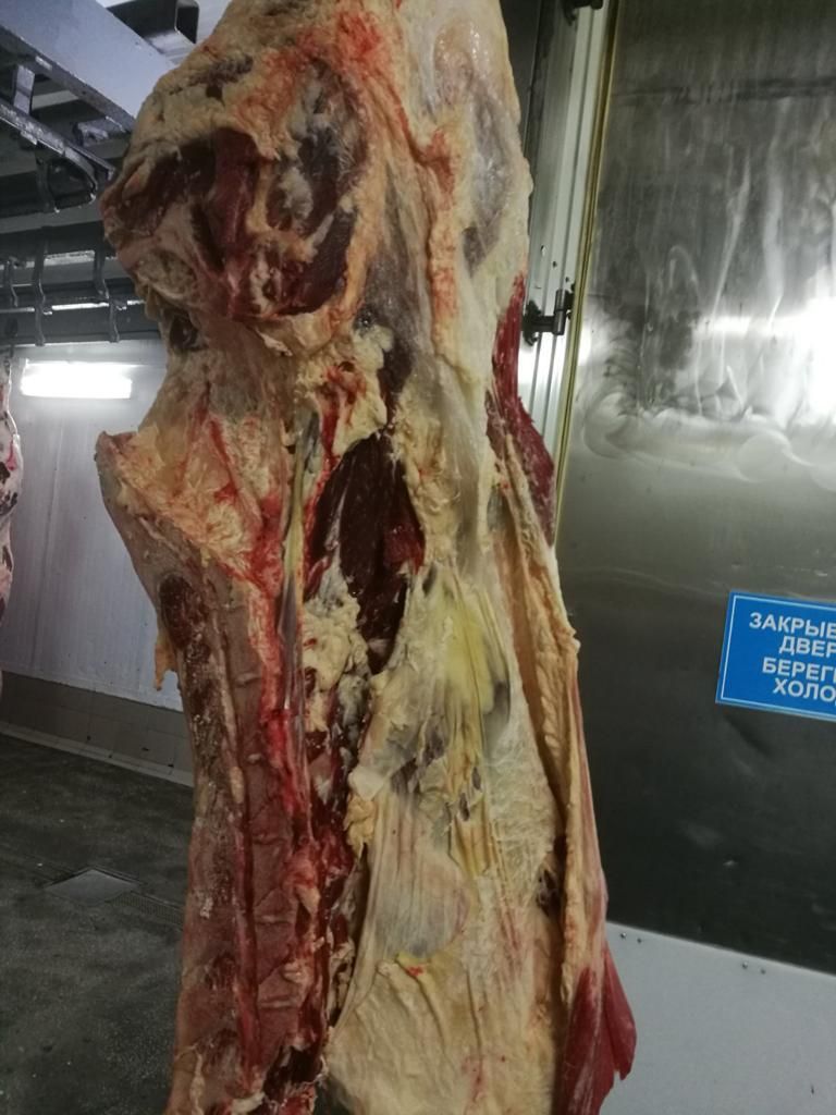 Frozen boneless beef, Frozen trimmed block second, Frozen cattle bones , frozen beef cuts